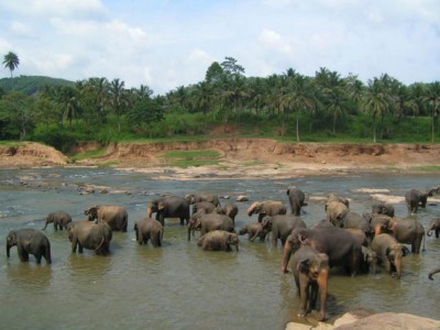 Sri Lanka Sylwester w Sri Lance